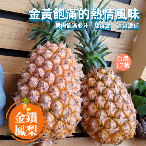 金鑽鳳梨