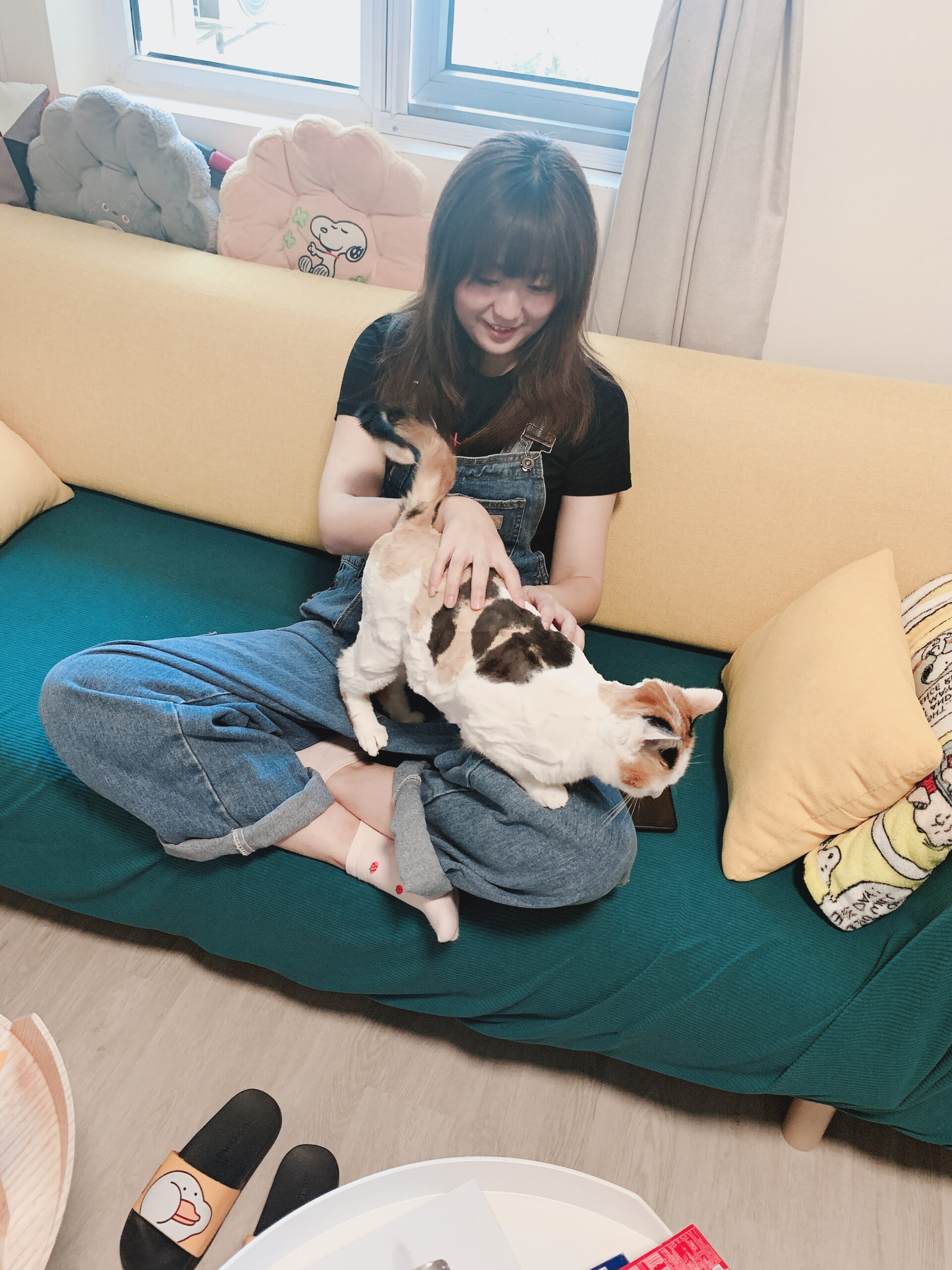 Vanessa曉葉^ↀᴥↀ^