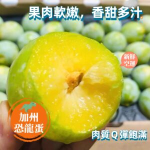加州恐龍蛋