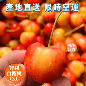 智利白櫻桃3j
