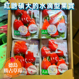 德島勝占草莓-暷豪禮__2024-02-01+14_02_18