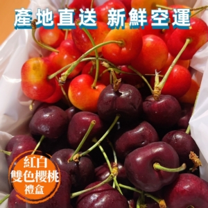 紅+白櫻桃-暷豪禮__2023-11-30+23_05_58