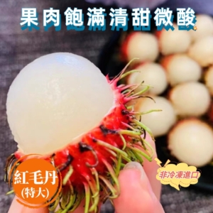 紅毛丹-暷豪禮
