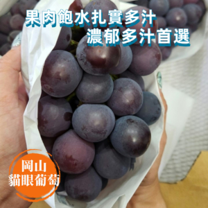 岡山貓眼-暷豪禮__2024-07-08+18_12_21