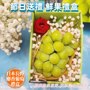 長野麝香葡萄 單串禮盒(550-600g)