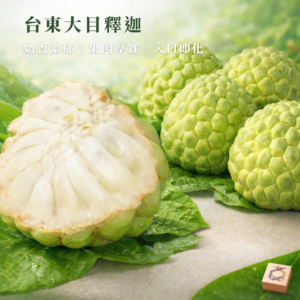 台東大目釋迦 暷豪禮主圖