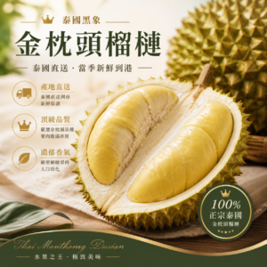 泰國黑象金枕頭榴槤暷豪禮主圖