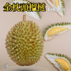泰國金枕頭榴槤 暷豪禮主圖