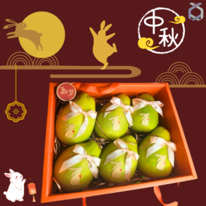 六入文旦禮盒 主圖