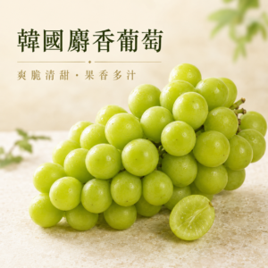 韓國麝香葡萄 暷豪禮主圖