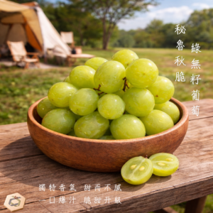 秘魯秋脆綠無籽葡萄3J